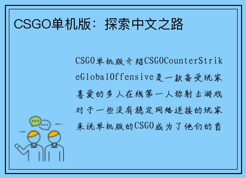 CSGO单机版：探索中文之路